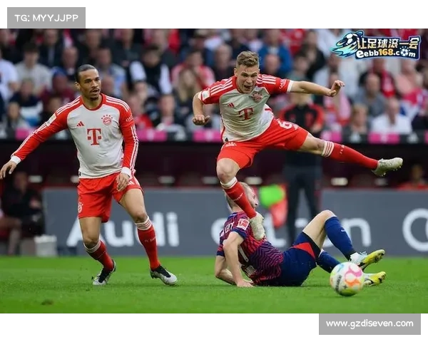 德甲各球队关系与竞技挑战的深度剖析与探讨