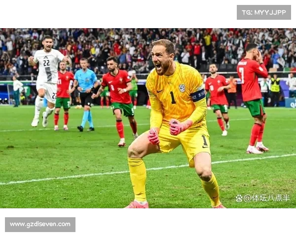 捷克足球历史上最著名的几位门将排名及其成就分析